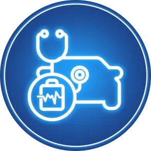 car-status